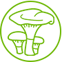 Micoterapia