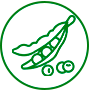 Proteína vegetal