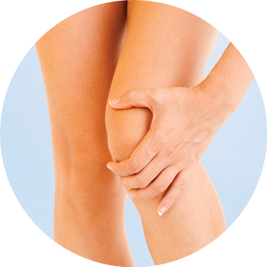 Sistema osteo articular