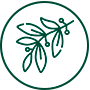 Plantas medicinales